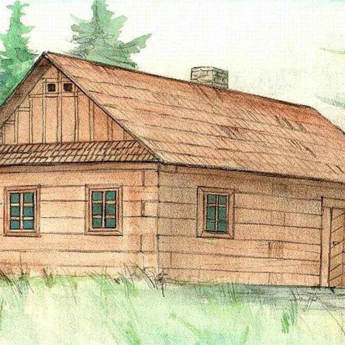 Cabana de lemn - joc educativ de construit Walachia [3]