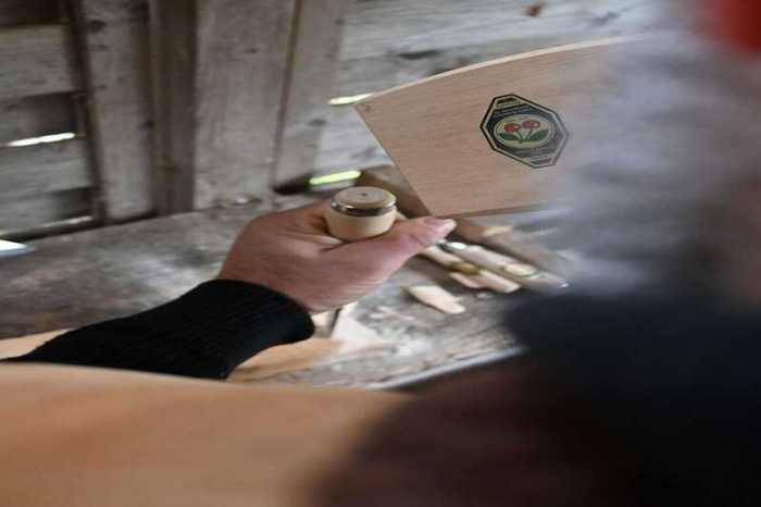 Dalta plata si dreapta Kirschen 1001006, taietura 6 mm, 250 mm [6]