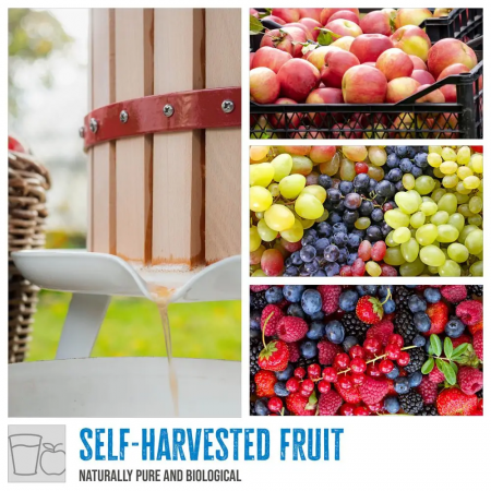 Teasc / presa manuala de struguri si fructe OP 6 Gude 30001, 6 litri [7]