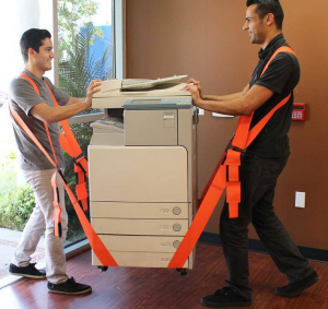 Set 2 hamuri si o pereche de chingi pentru transport Batavia 7062129, 300 Kg [5]