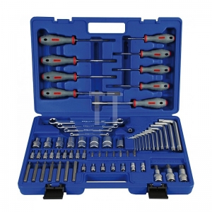 Truse Scule - Trusa de surubelnite si chei de 1/4″ si 1/2″ Projahn 4032, 67 piese