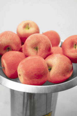 Zdrobitor electric pentru fructe GOH 1500 Gude 30030, 1100 W, 600 Kg/ora [5]