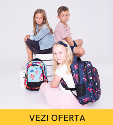Ghiozdane și accesorii