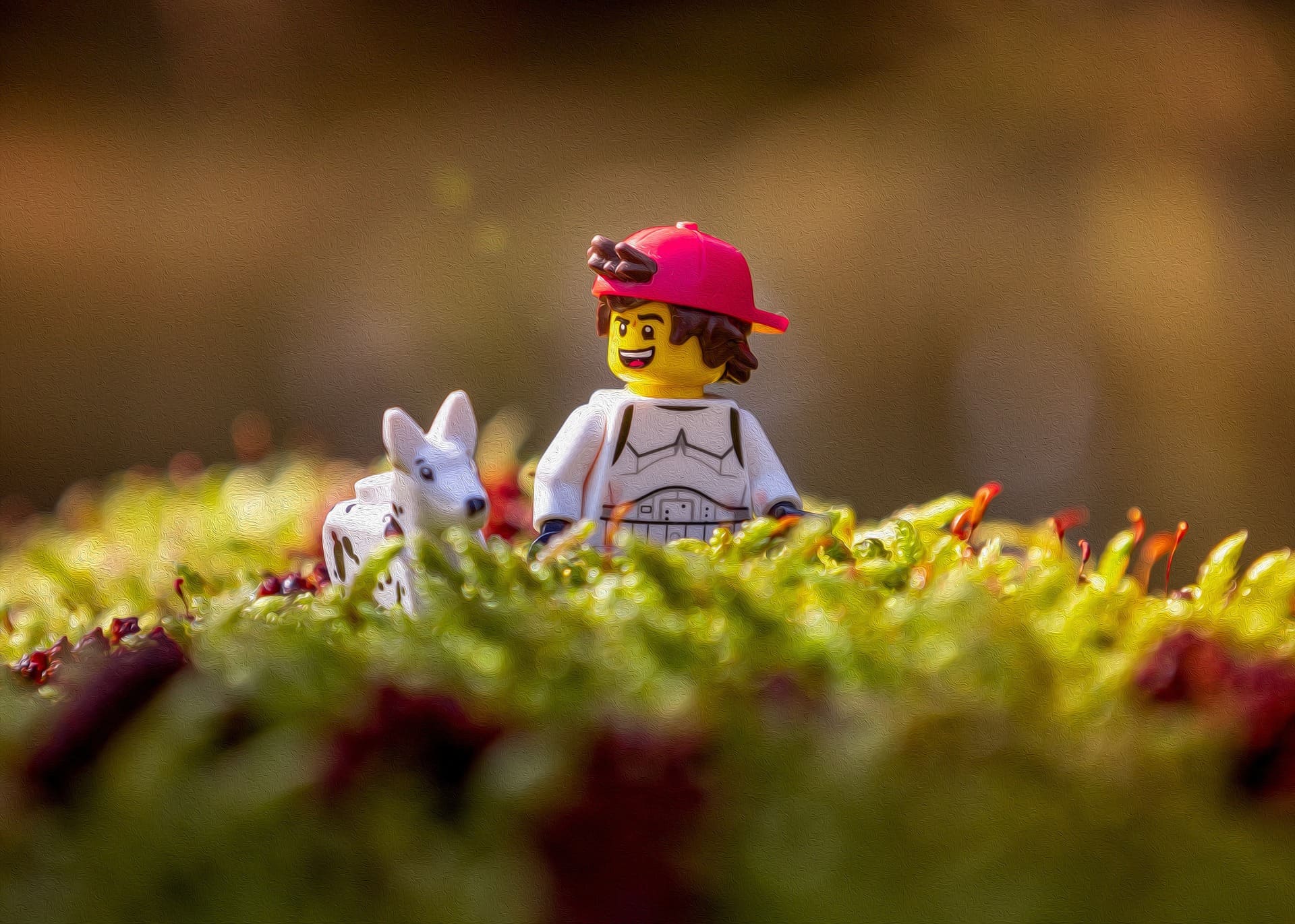 lego cadou