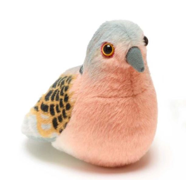 Activități în aer liber pentru copii de 5 ani. 10 idei și recomandări