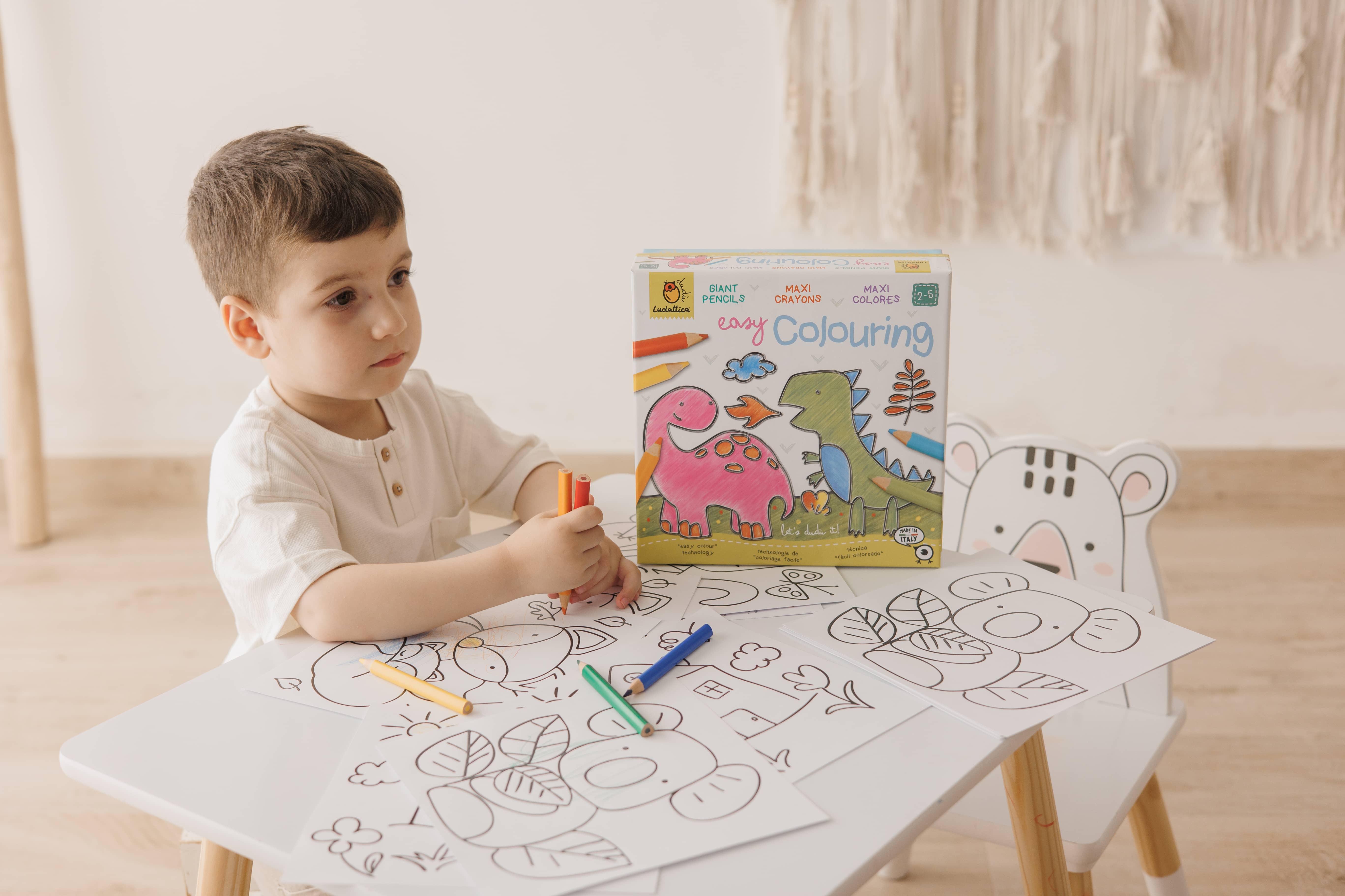 Joc creativ Creeaza cu mine- Sa coloram usor, Ludattica 2-5 ani [3]