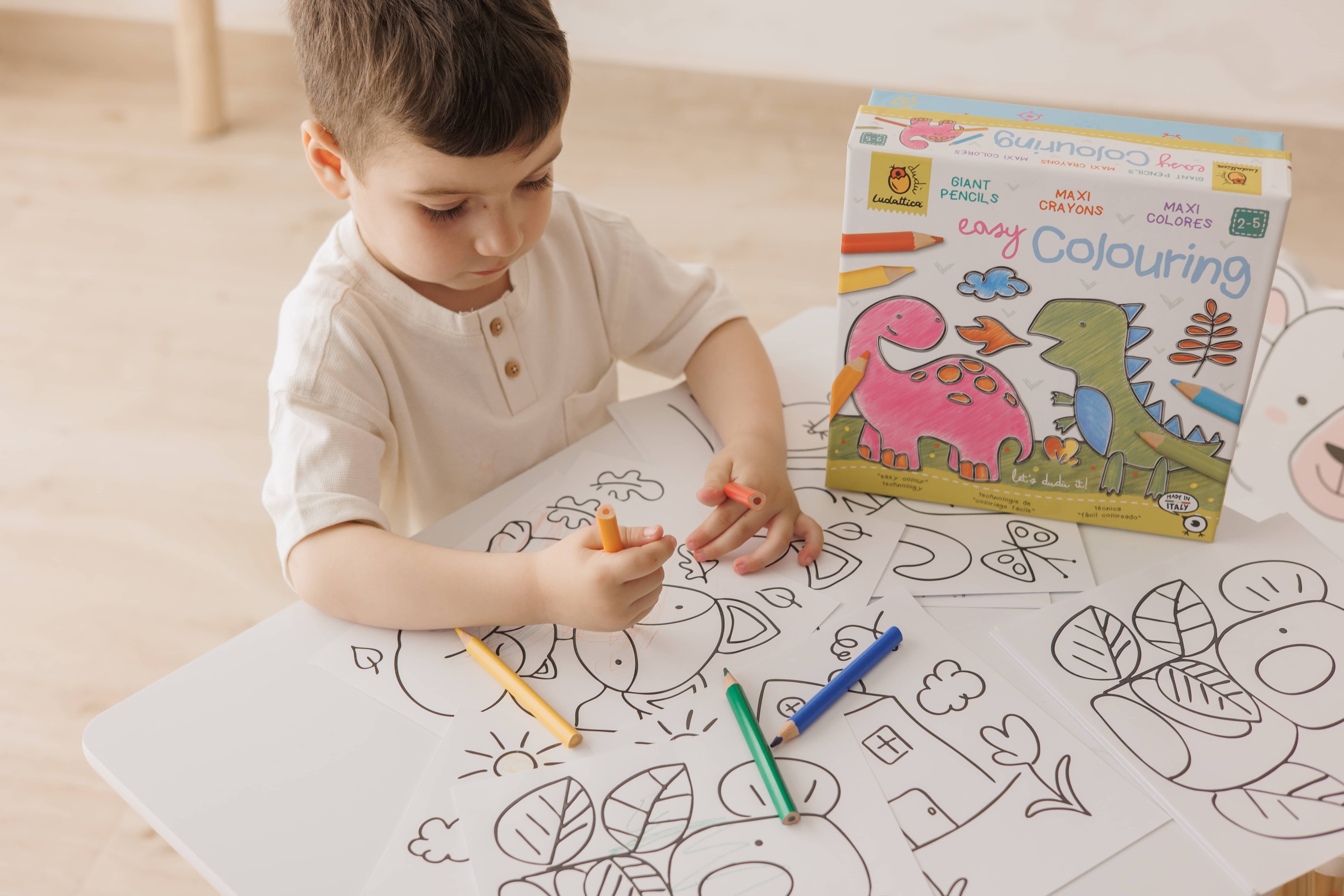 Joc creativ Creeaza cu mine- Sa coloram usor, Ludattica 2-5 ani [4]