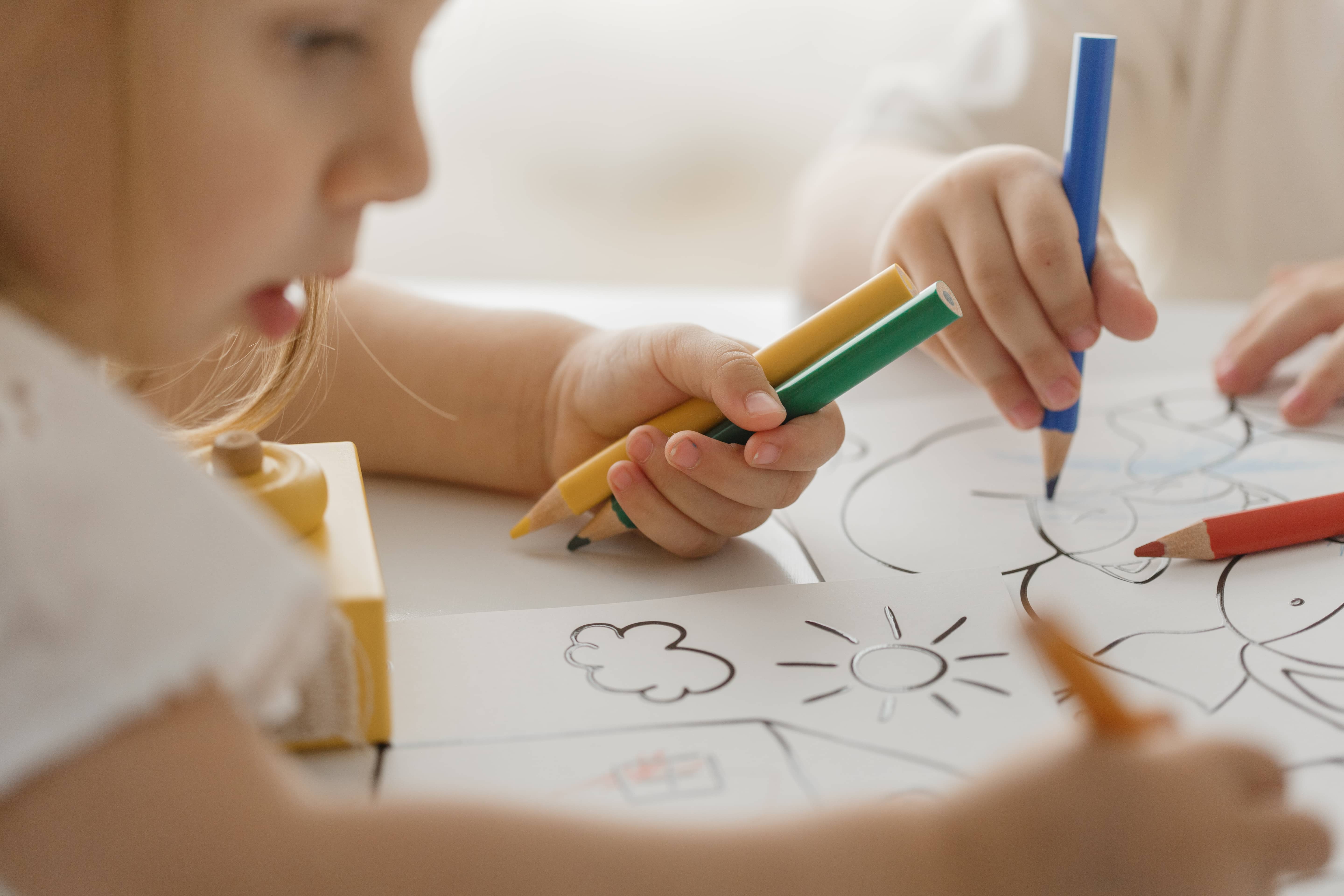 Joc creativ Creeaza cu mine- Sa coloram usor, Ludattica 2-5 ani [5]