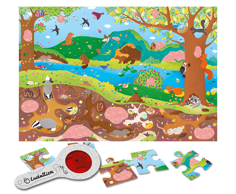 SECRET PUZZLE – Mediul Înconjurător, Ludattica, +3 ani [2]