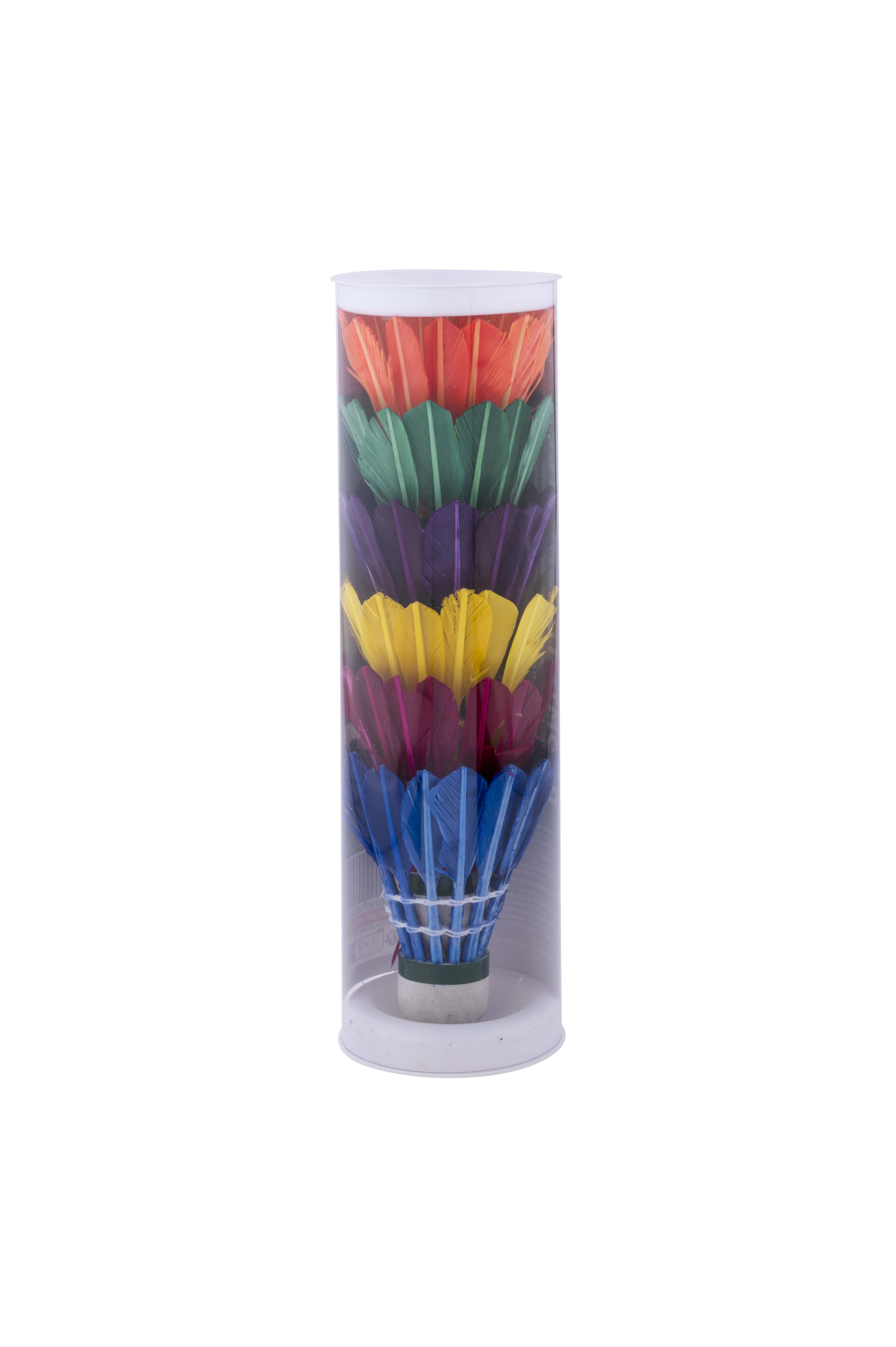 Set 6 fluturasi colorati badminton din pene in tub de depozitare [3]