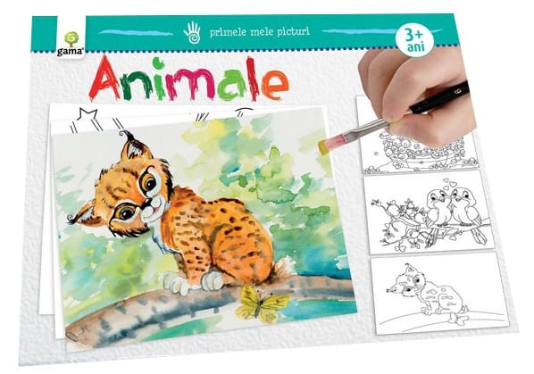 Jucarii baieti - Animale de Colorat, Editura Gama, 2-3 ani +