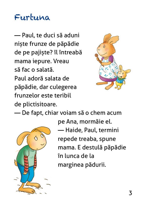 Aventurile extraordinare ale iepurasului Paul: Furtuna & Focul de tabara, DPH, 4-5 ani + [4]