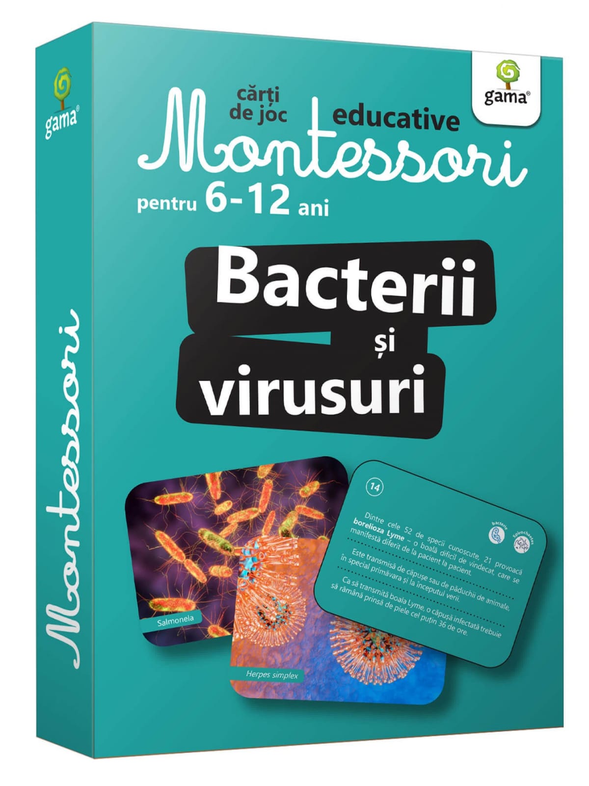 Jucarii si jocuri copii - Bacterii și virusuri, Editura Gama, 6-7 ani +