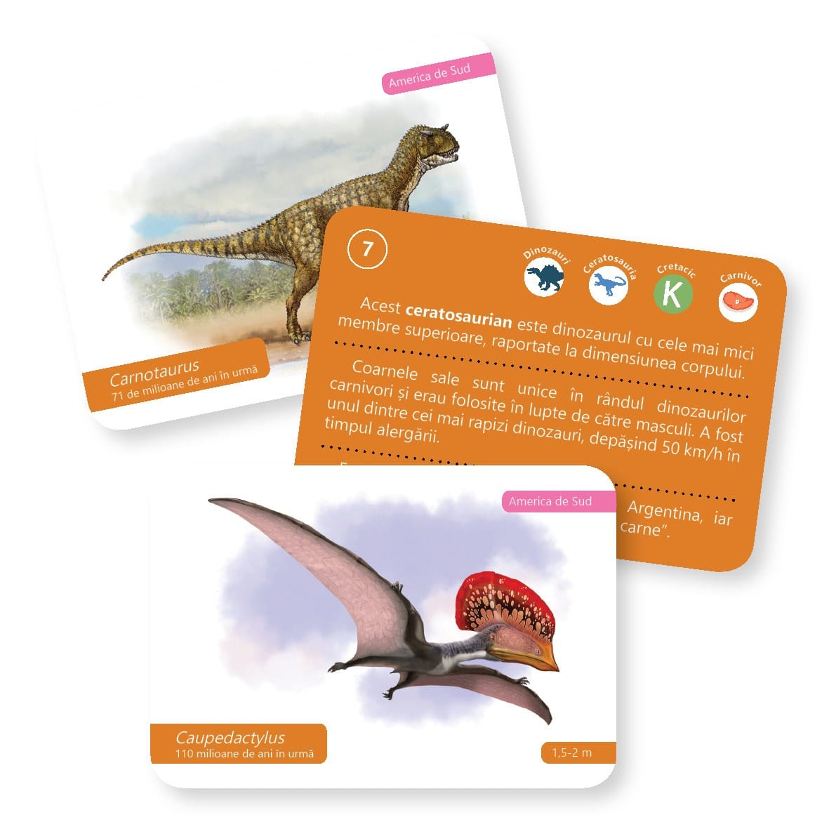 Evolutia vietii: Dinozauri - carti de joc Montessori pentru 6 - 12 [3]