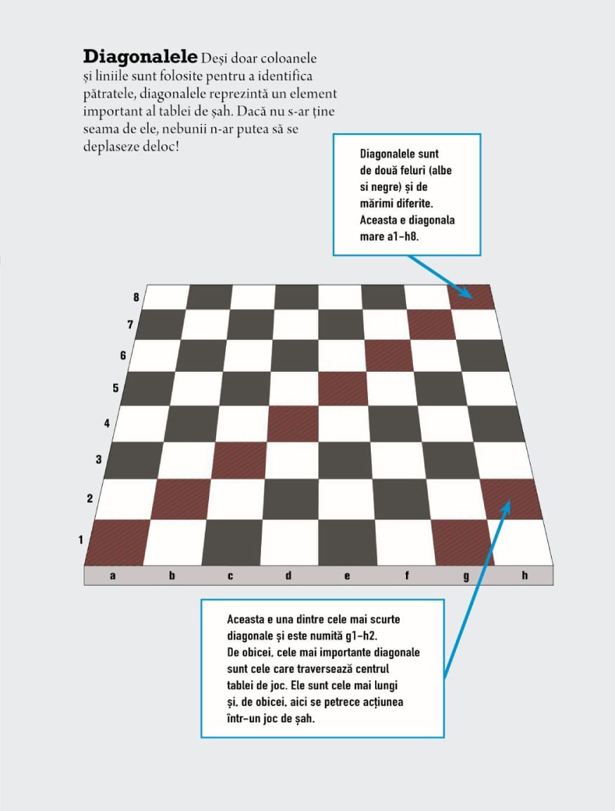 Biblia jucatorului de sah - Strategii ilustrate pentru a fi mereu în avantaj, DPH, 4-5 ani + [6]