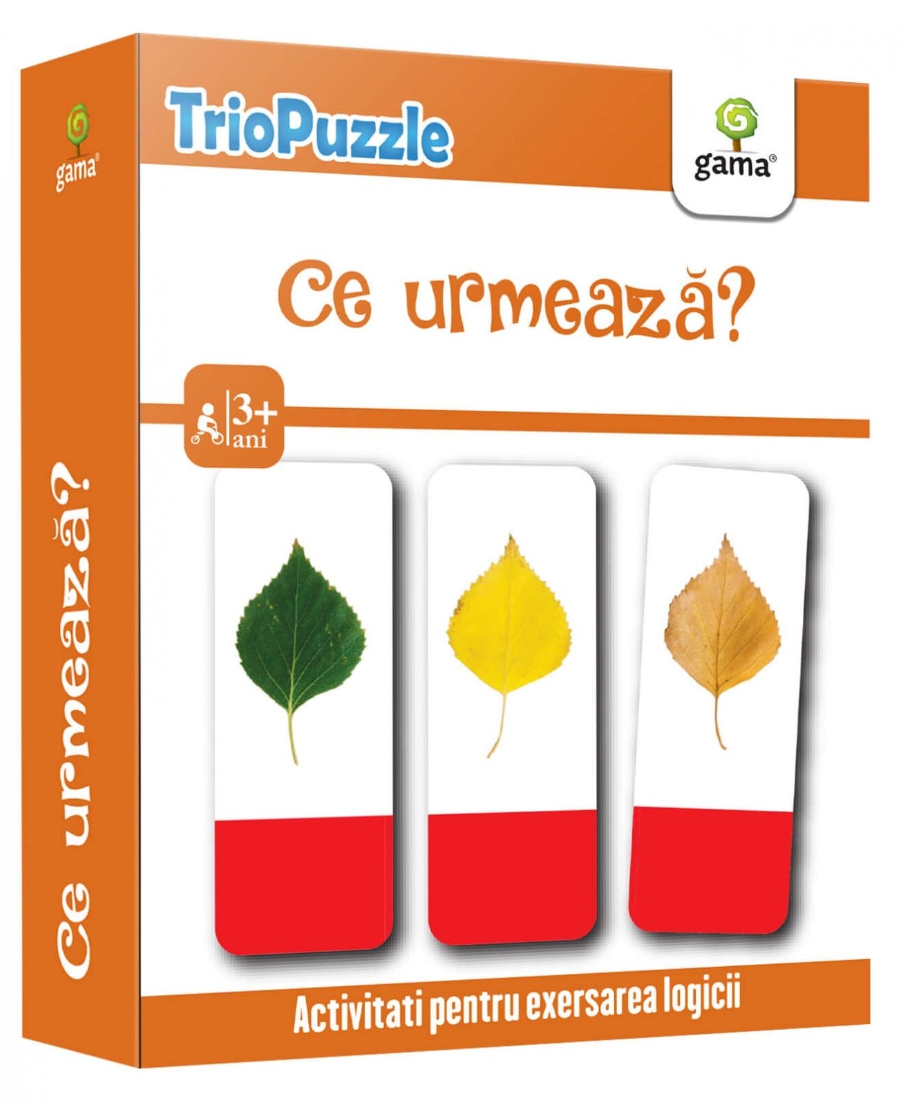 Vârsta - Ce urmează?, Editura Gama, 2-3 ani +