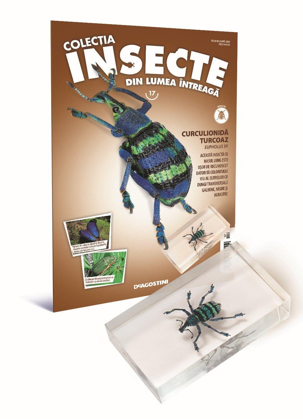 Colectia insecte din lumea intreaga - Colecţia Insecte din lumea ȋntreagă - Nr. 17: Curculionidă turcoaz, DeAgostini, 6-7 ani +