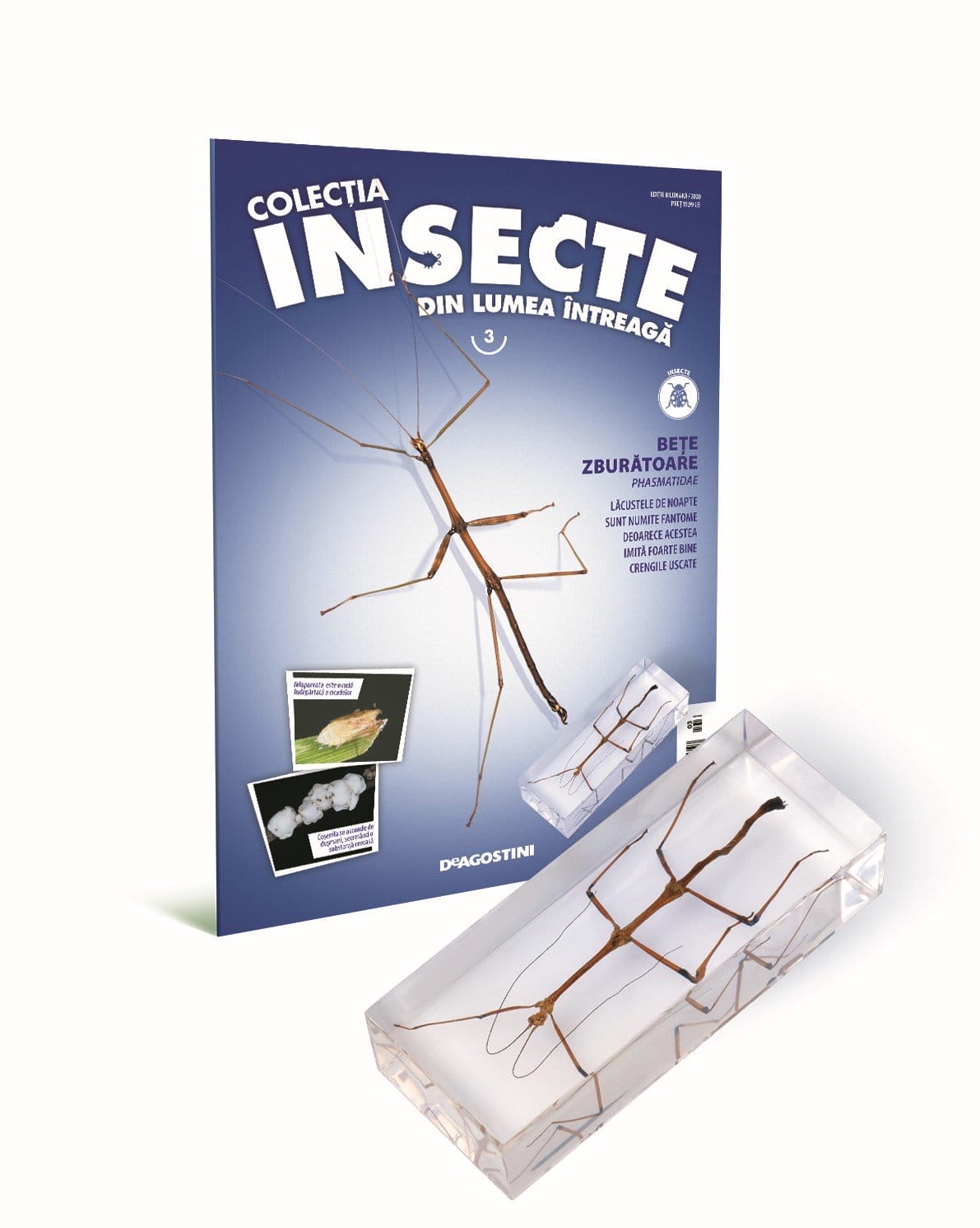 Colectia insecte din lumea intreaga - Colecţia Insecte din lumea ȋntreagă - Nr. 03: Beţe zburătoare