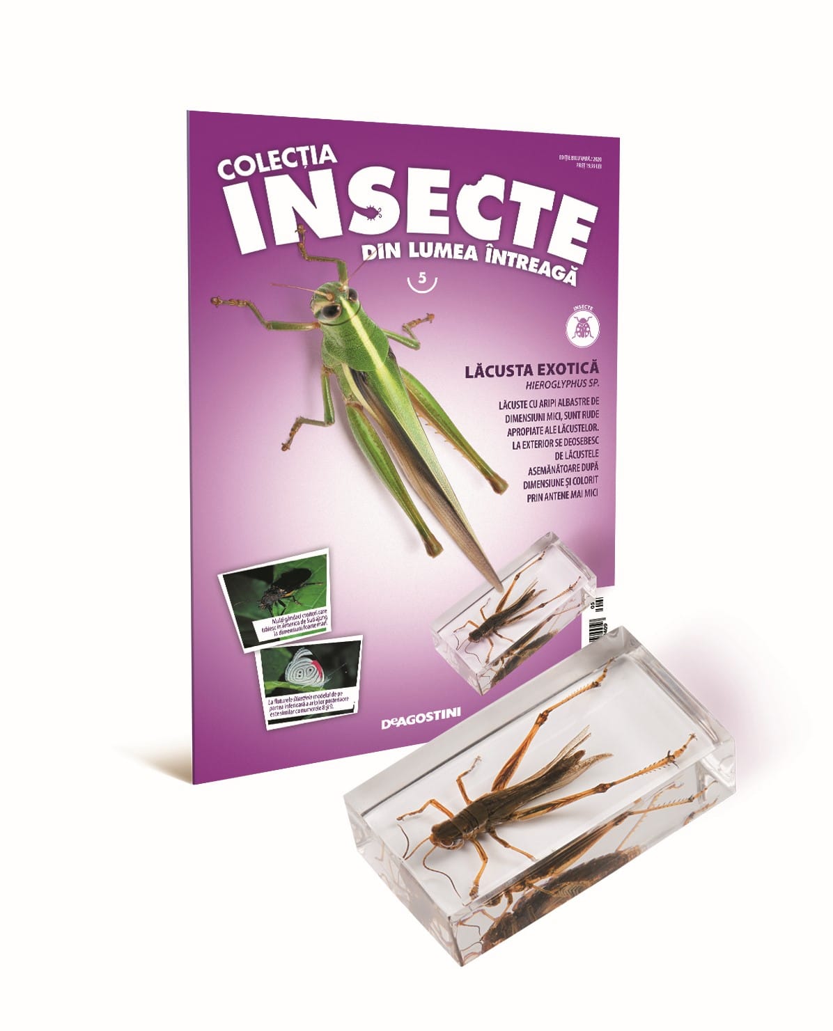 Colectia insecte din lumea intreaga - Colecţia Insecte din lumea ȋntreagă - Nr. 05: Lăcusta exotică