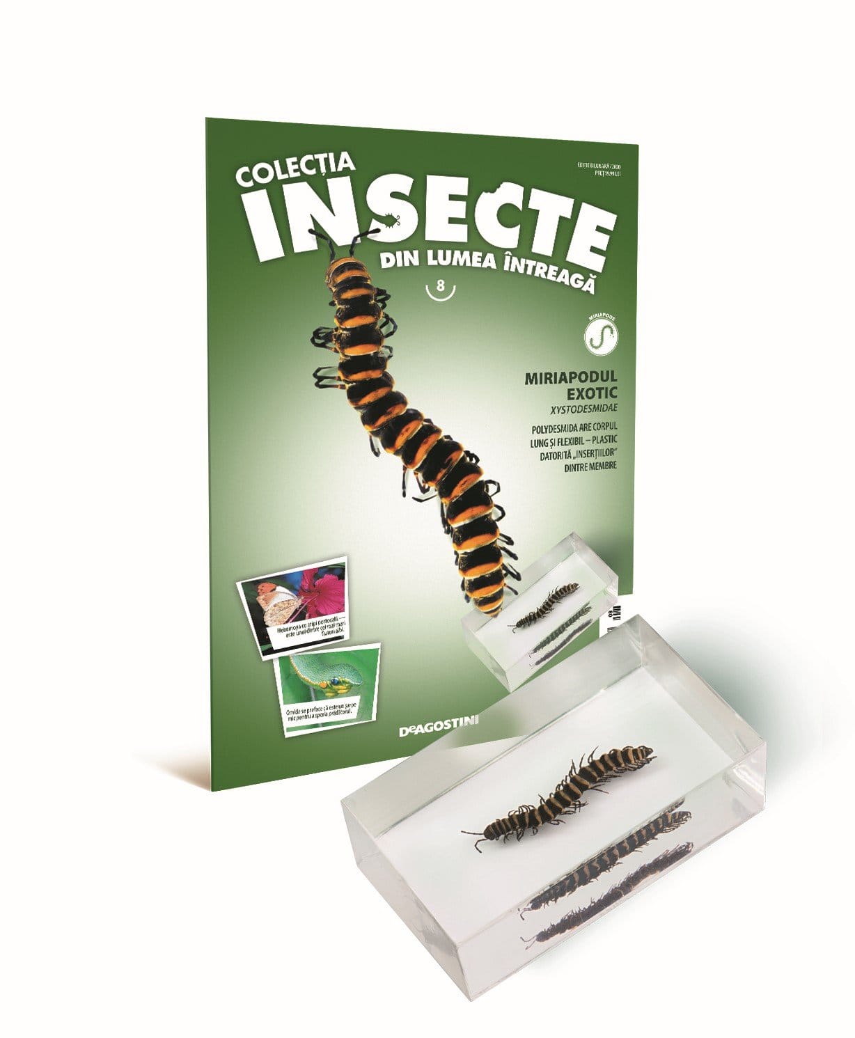 Colecţia Insecte din lumea ȋntreagă - Nr. 08: Miriapodul exotic, DeAgostini, 6-7 ani + [1]