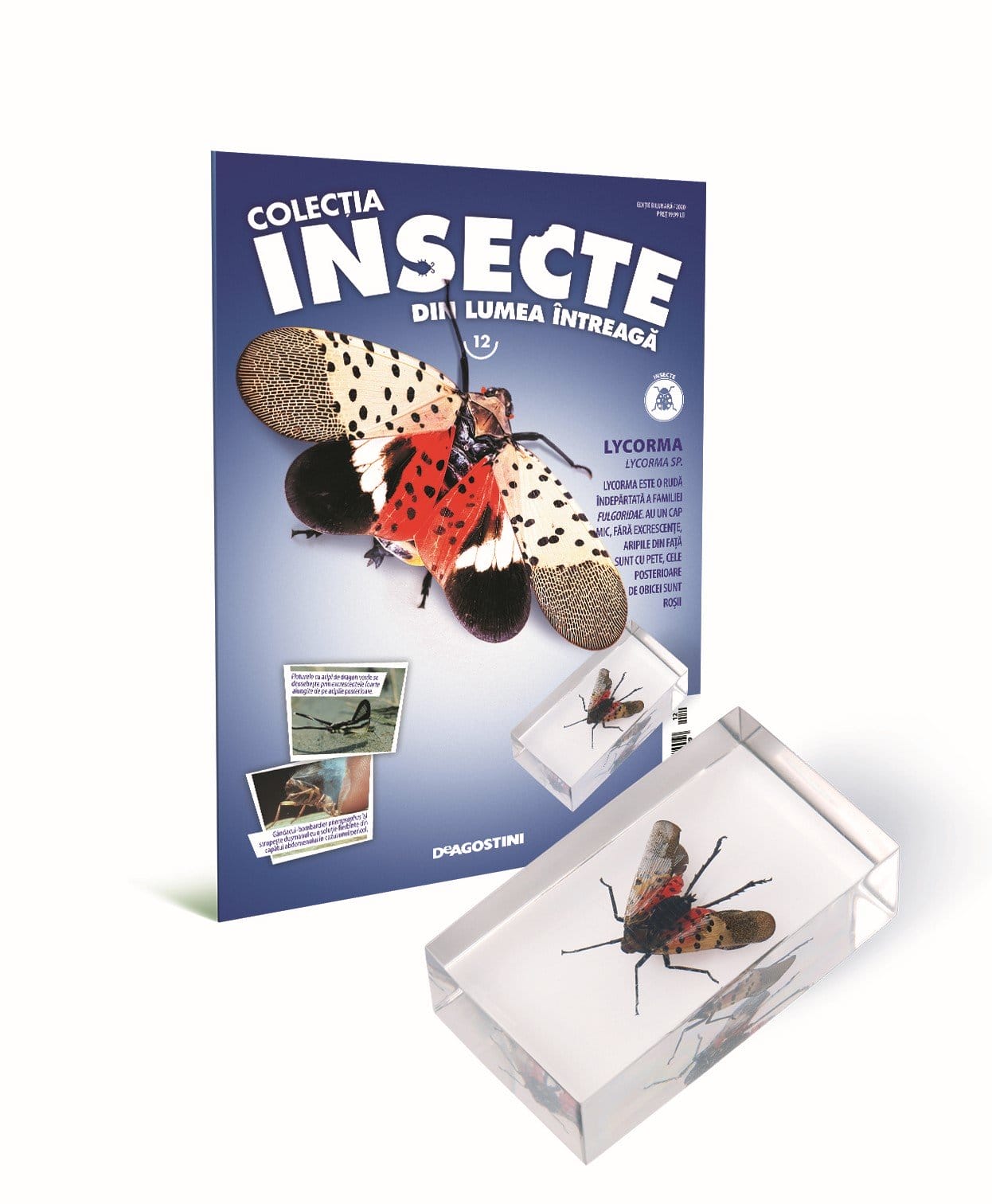 Colecţia Insecte din lumea ȋntreagă - Nr. 12: Lycorma, DeAgostini, 6-7 ani + [1]