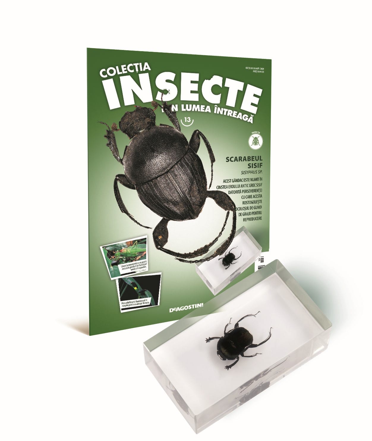 Colecţia Insecte din lumea ȋntreagă - Nr. 13: Scarabeul Sisif, DeAgostini, 6-7 ani + [1]