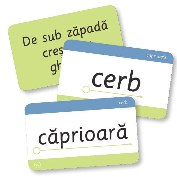 Joc educativ Cuvinte frecvente pentru citit rapid de la 601 la 800, Editura Gama, 4-5 ani + [2]
