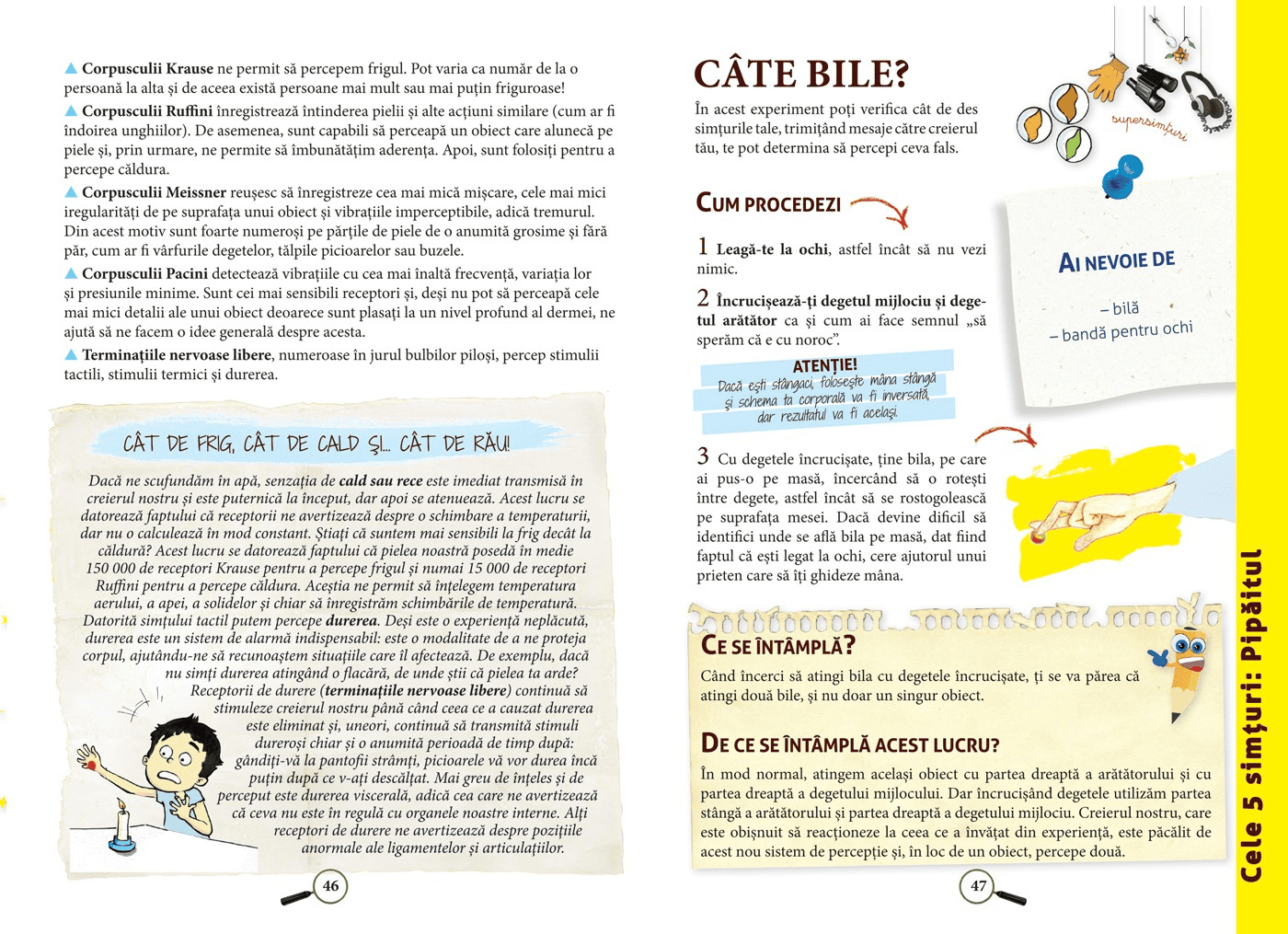Enciclopedia experimentelor in practica, DPH, 6-7 ani + [4]