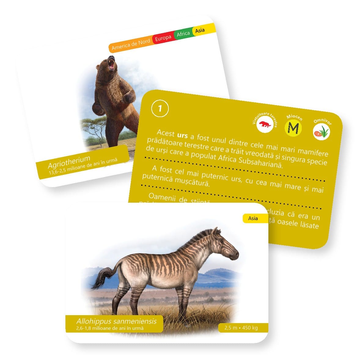 Evolutia vietii: Vietuitoare preistorice - carti de joc Montessori pentru 6 - 12 [3]