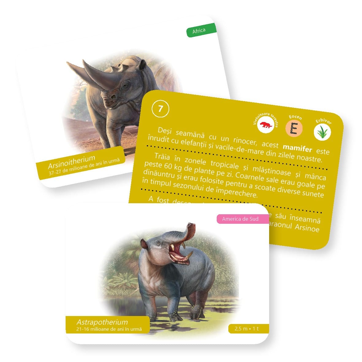 Evolutia vietii: Vietuitoare preistorice - carti de joc Montessori pentru 6 - 12 [2]