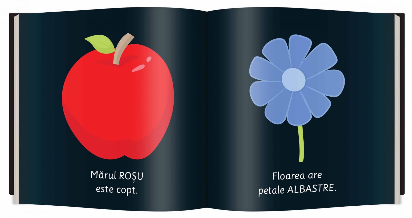 Culori, Editura Gama, 0-1 ani + [4]