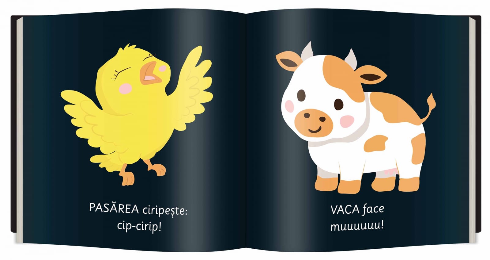 Animale, Editura Gama, Culori Contrastante, 0-1 ani + [2]