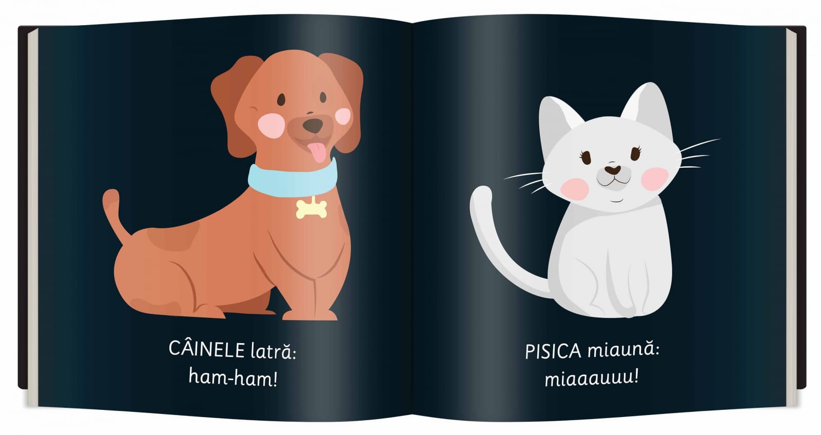 Animale, Editura Gama, Culori Contrastante, 0-1 ani + [4]