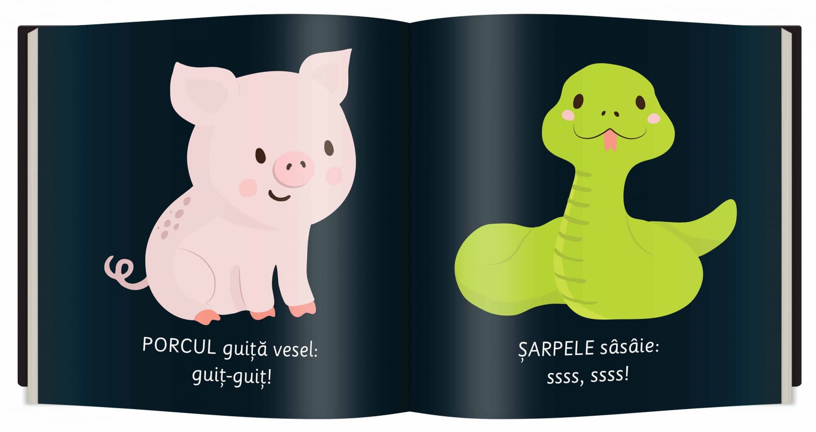 Animale, Editura Gama, Culori Contrastante, 0-1 ani + [3]