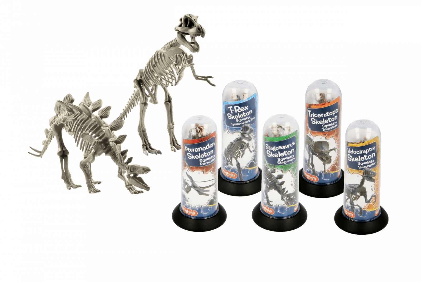 Joc educativ Paleontologie, Schelet de dinozaur 3D de 18 cm, diverse modele, Magnoidz, +6 ani [1]