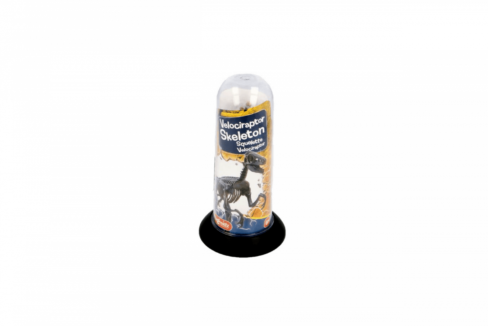 Joc educativ Paleontologie, Schelet de dinozaur 3D de 18 cm, diverse modele, Magnoidz, +6 ani [6]