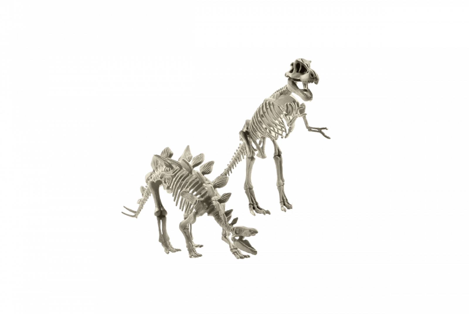 Joc educativ Paleontologie, Schelet de dinozaur 3D de 18 cm, diverse modele, Magnoidz, +6 ani [3]