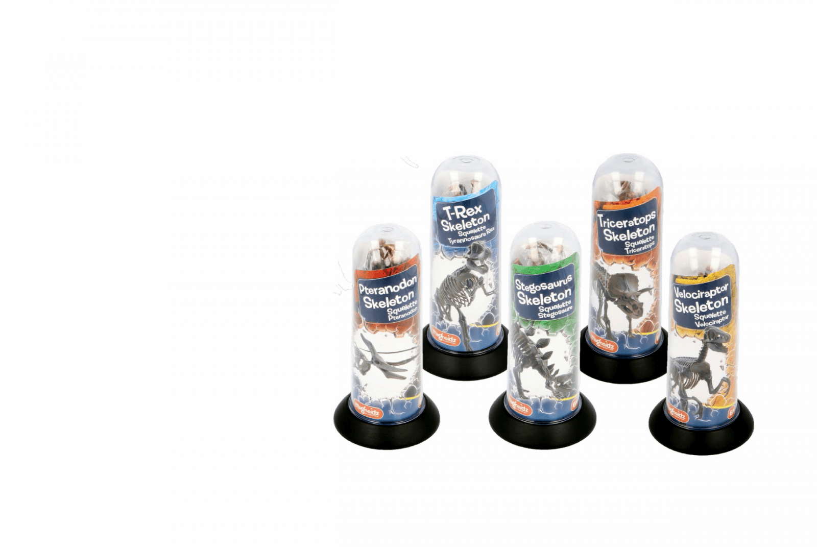 Joc educativ Paleontologie, Schelet de dinozaur 3D de 18 cm, diverse modele, Magnoidz, +6 ani [2]