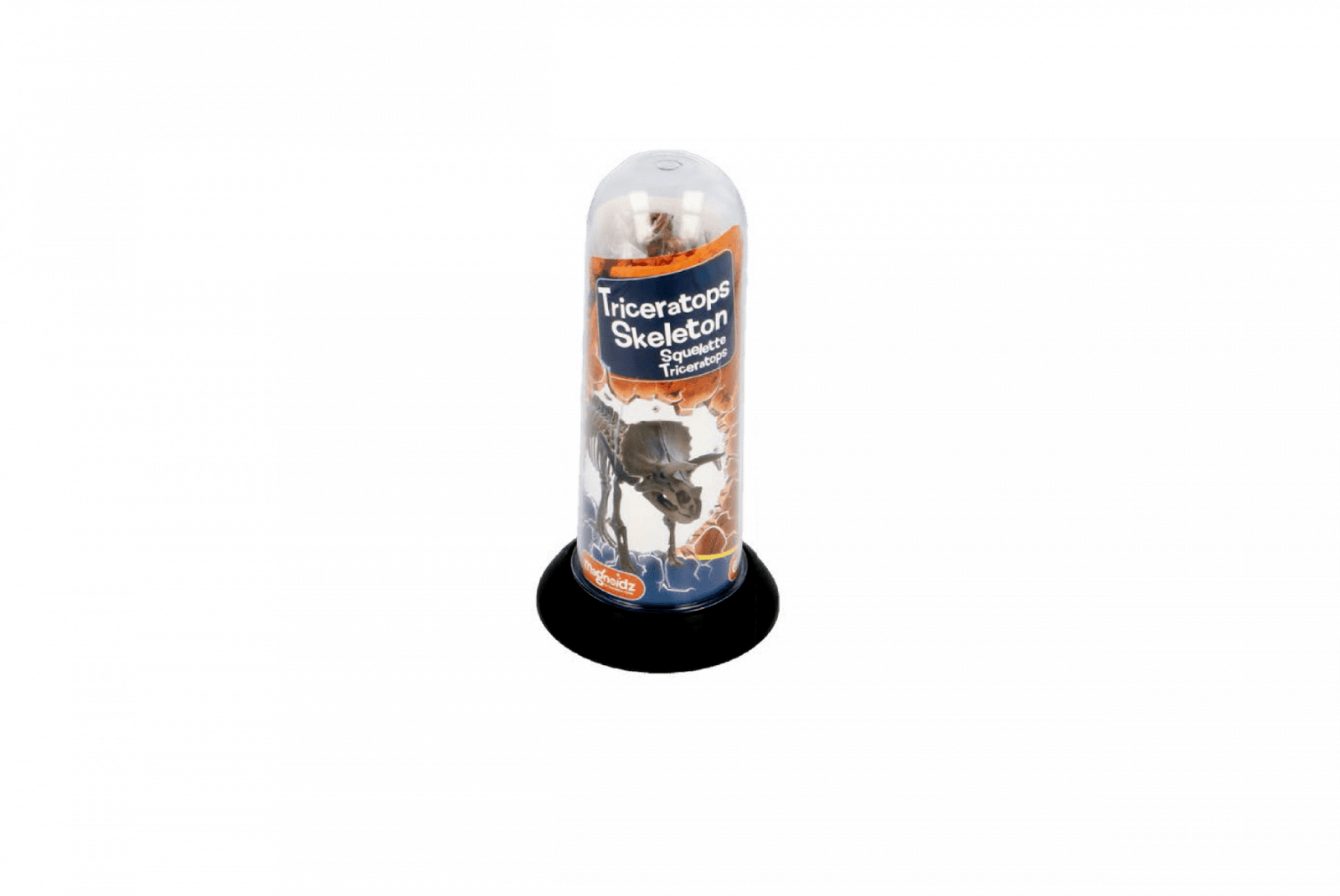 Joc educativ Paleontologie, Schelet de dinozaur 3D de 18 cm, diverse modele, Magnoidz, +6 ani [5]