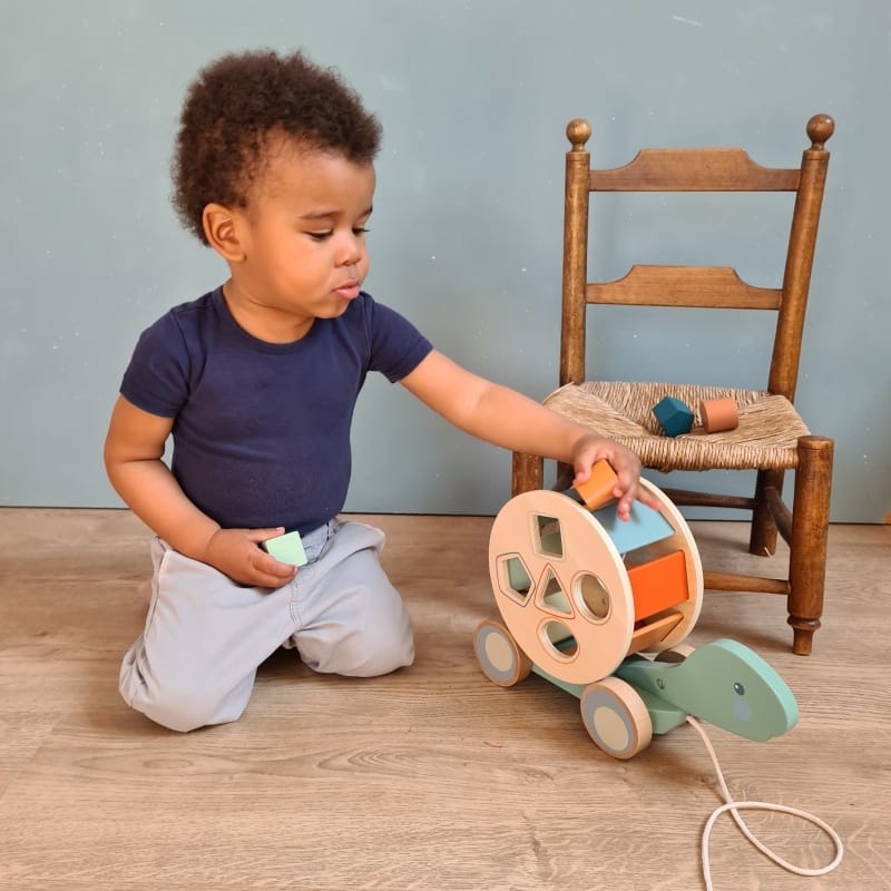 Jucarie de tras cu forme geometrice, Egmont toys, 0-1 ani + [2]