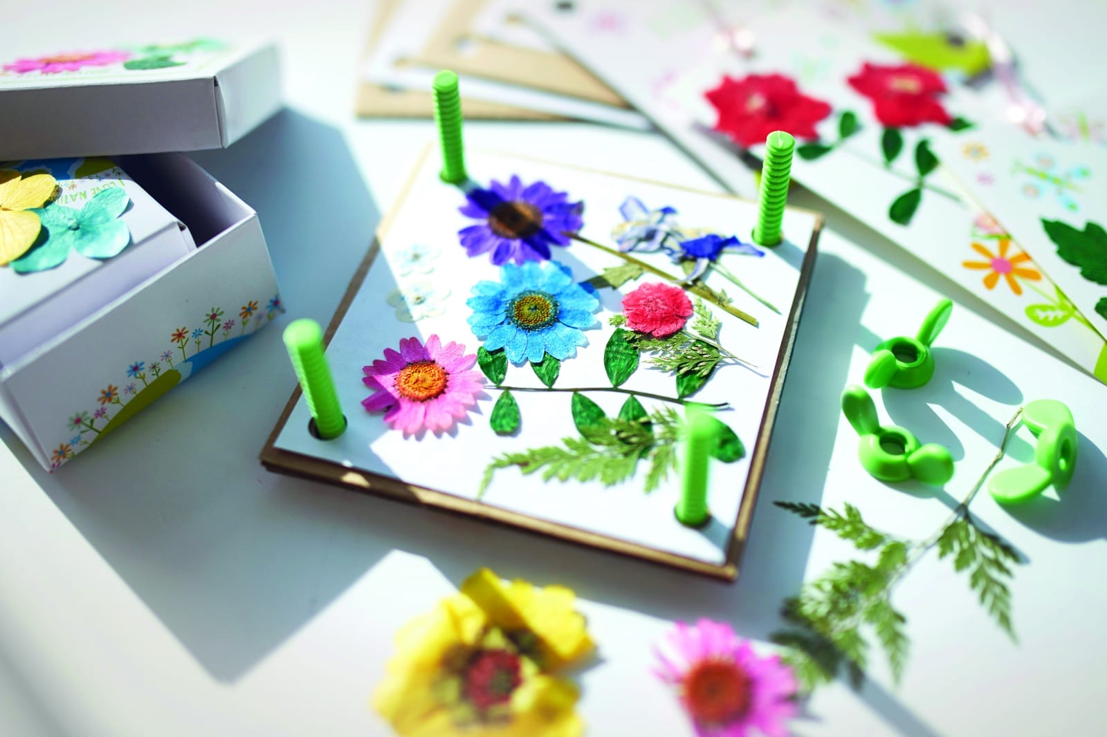 Kit creativ - Presa pentru flori si frunze, Green Creativity, + 5 ani [4]