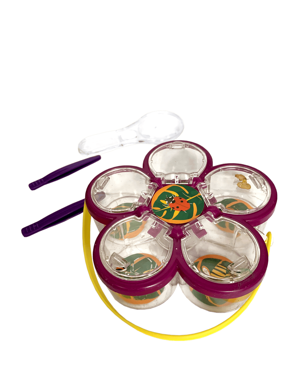 Kit explorare insecte, suport cu 6 pozitii Keycraft, + 6 ani [6]