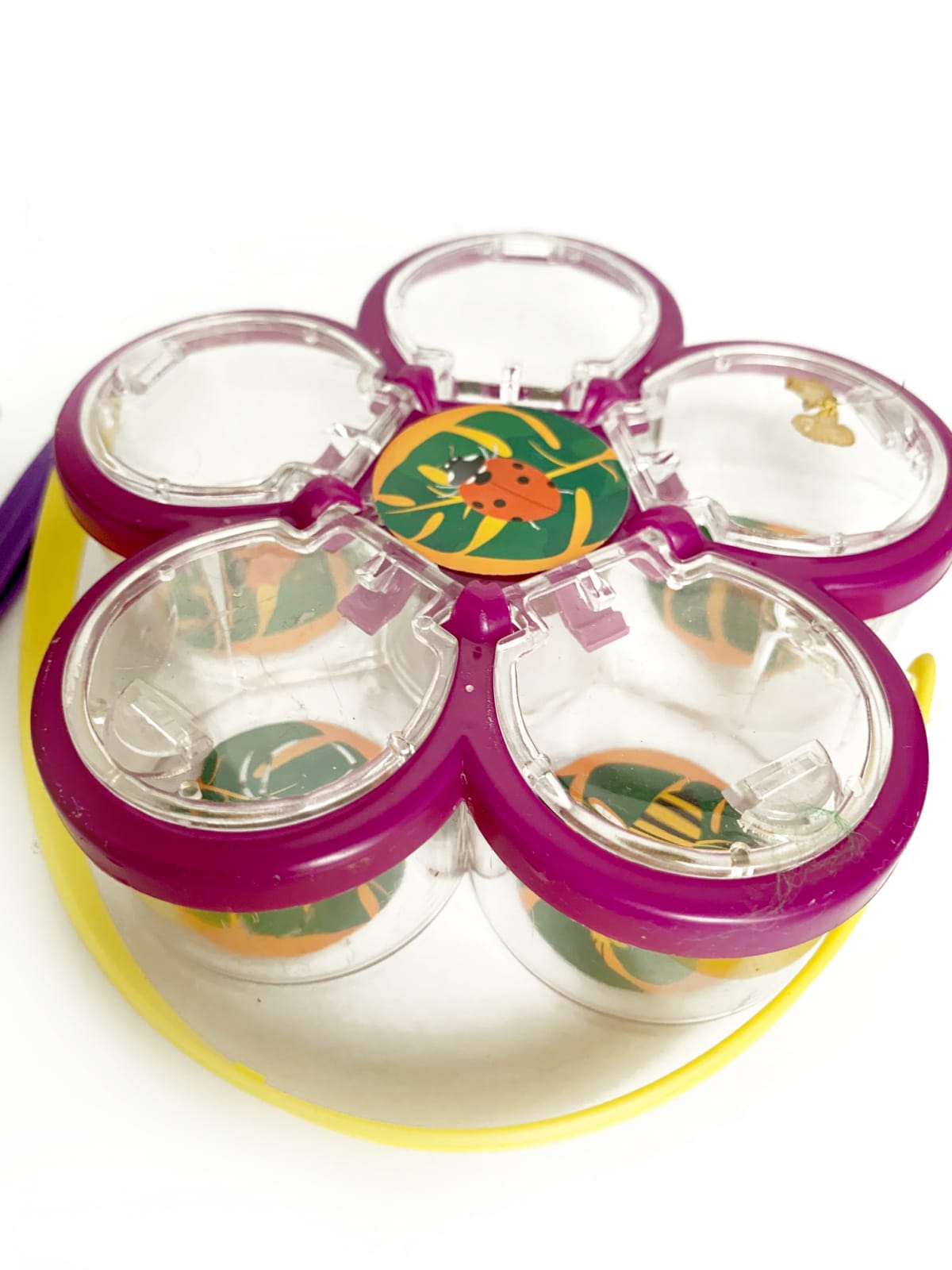 Kit explorare insecte, suport cu 6 pozitii Keycraft, + 6 ani [5]