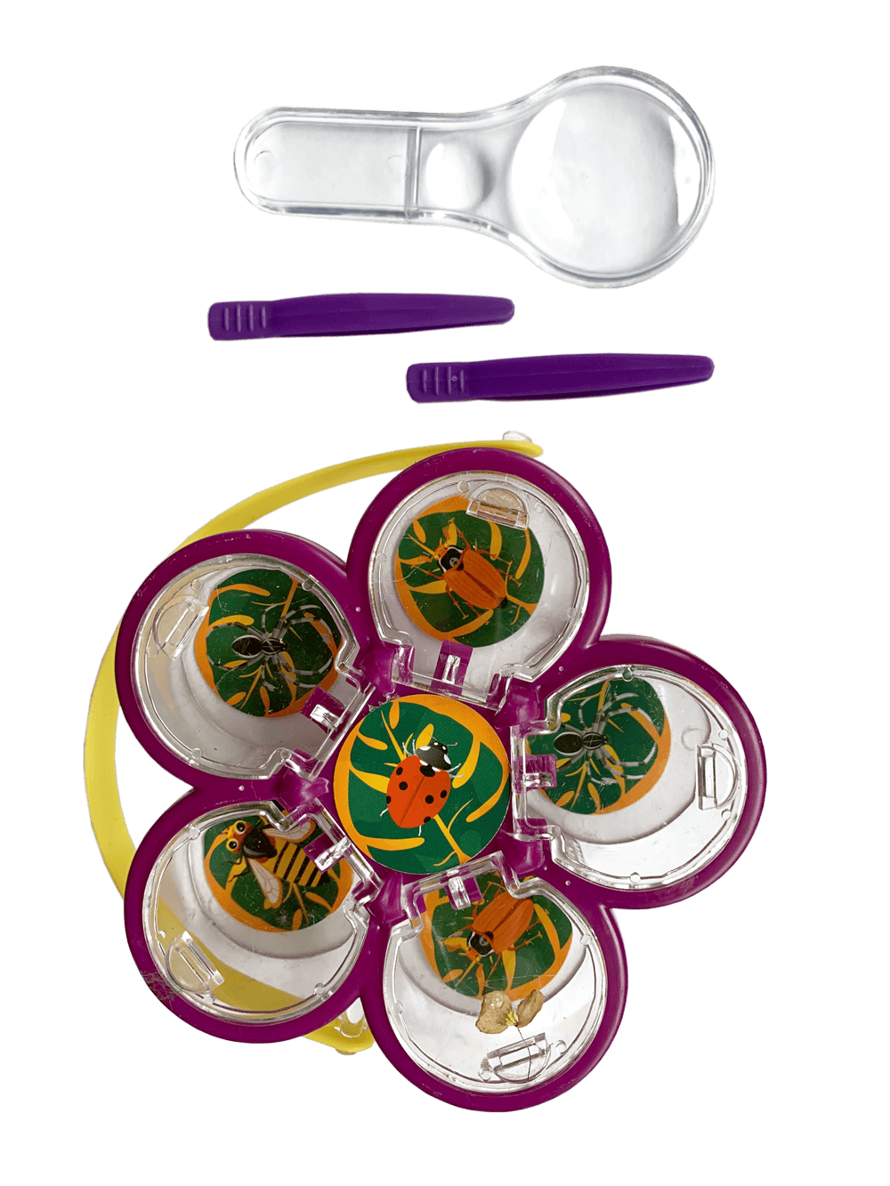 Kit explorare insecte, suport cu 6 pozitii Keycraft, + 6 ani [4]