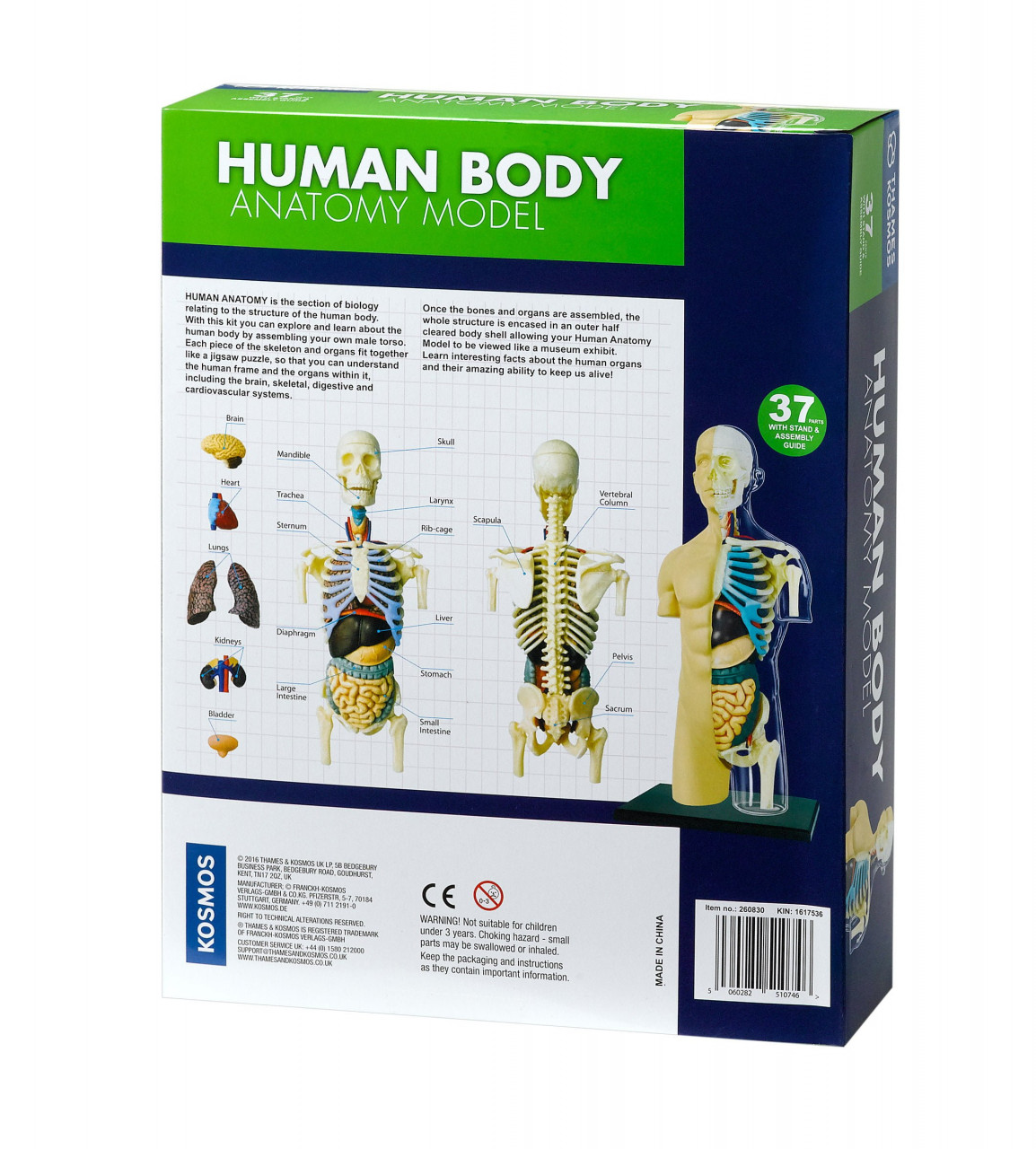 Kit STEM Anatomia corpului uman [4]