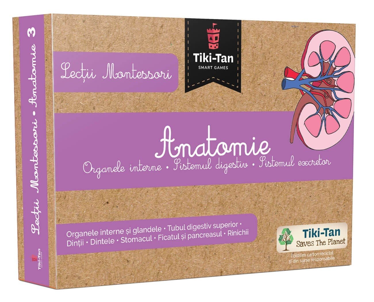 Lecţii de anatomie: Organe interne. Sistemul digestiv, Editura Gama, 2-3 ani + [1]