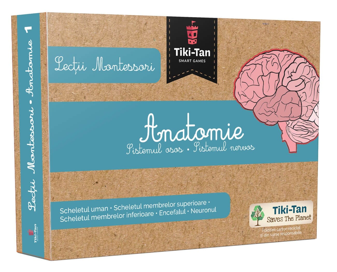 Gradinita si scoala - Lecții Montessori - Anatomie: Sistemul osos • Sistemul nervos, Editura Gama, 2-3 ani +