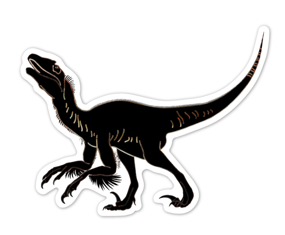 Abtibilduri razuibile - Dinozauri, colectia Creatii Naturale [8]