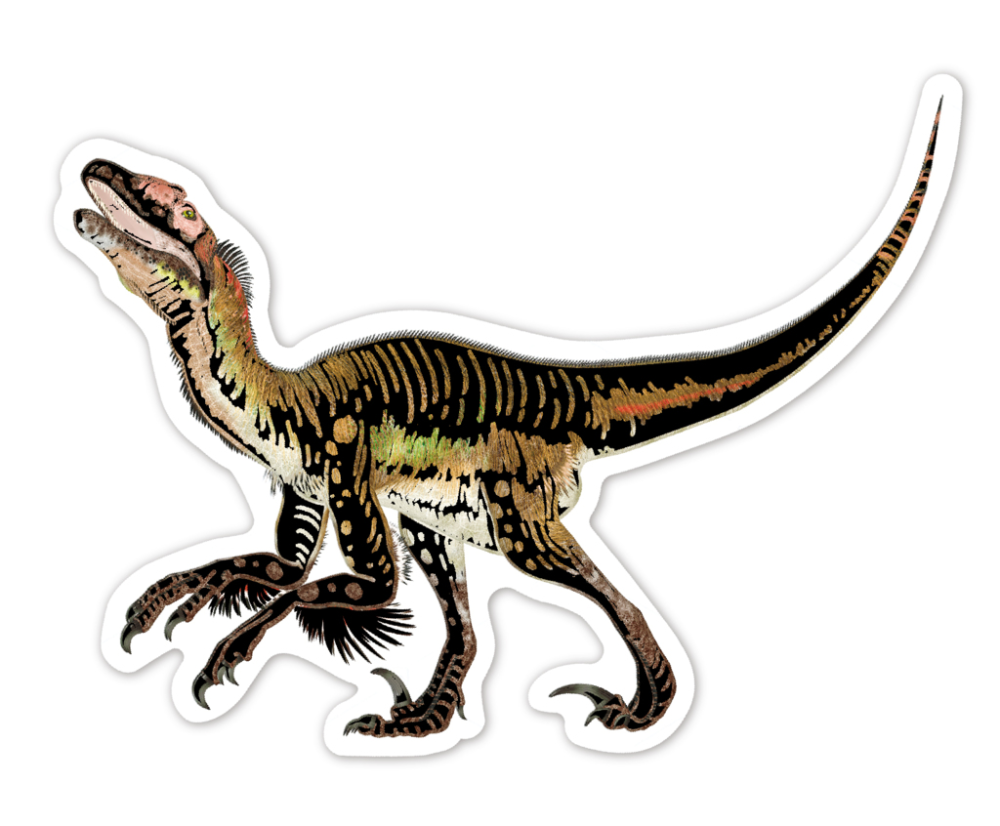 Abtibilduri razuibile - Dinozauri, colectia Creatii Naturale [7]