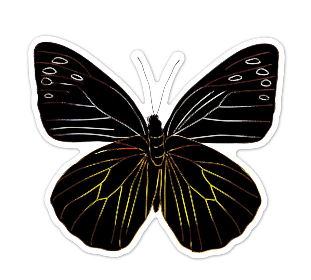 Abtibilduri razuibile - Fluturi, colectia Creatii Naturale [7]